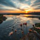 Współczynnik umieralności