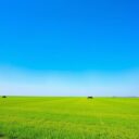 Gospodarka rolna ekstensywna