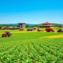 Kolektywizacja rolnictwa