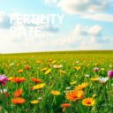 Współczynnik płodności